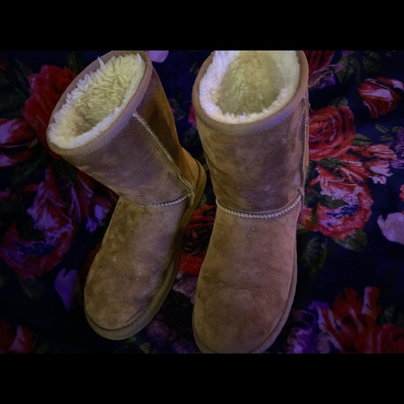 UGG Classic Short Boots 🛑SOLD🛑 - Picture 2 of 5